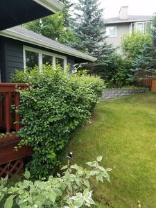 19021 Talarik Dr, Eagle River, AK, 99577