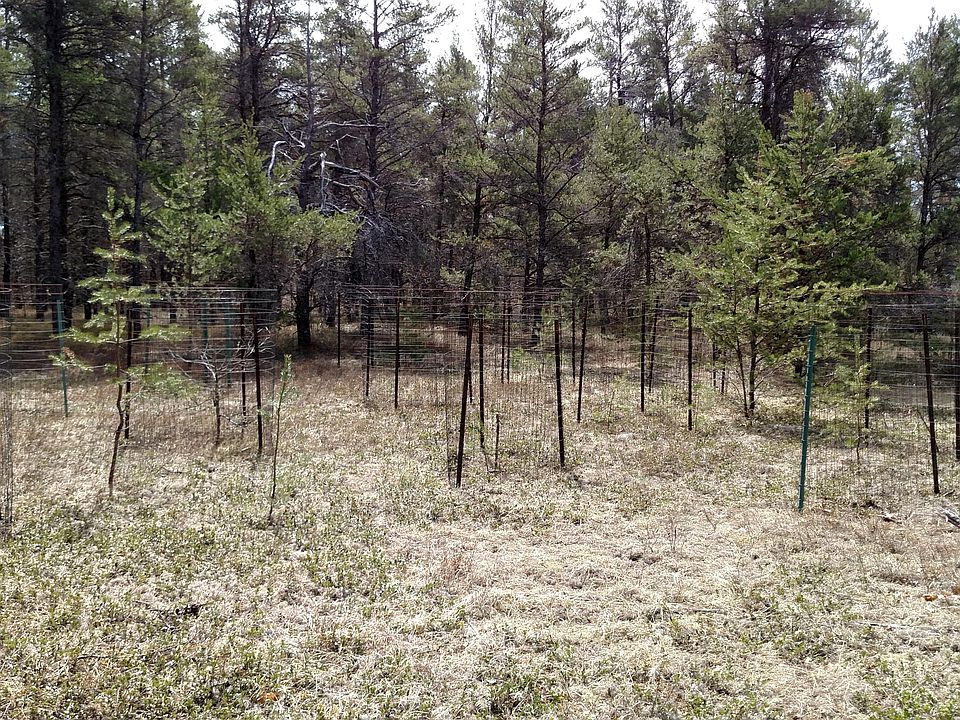 2nd image of Wilderness Trl