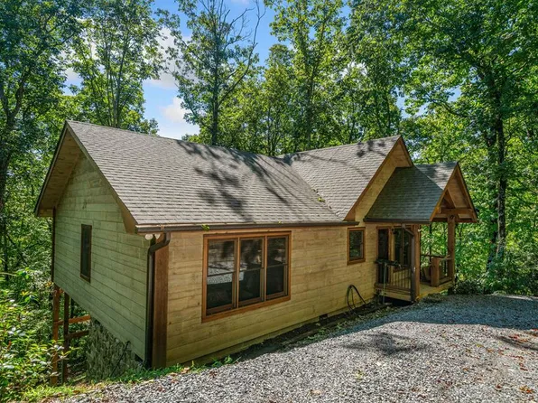 593 Moreland Dr N, Blue Ridge, GA 30513