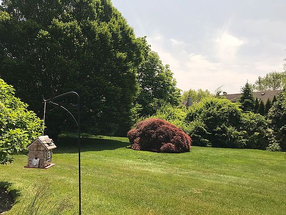 Private large yard