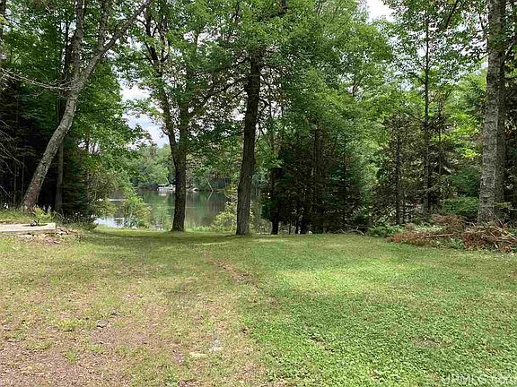 5th image of 320 S Shag Lake Dr