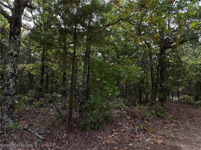 Rural Haskell Co, McCurtain, OK, 74944