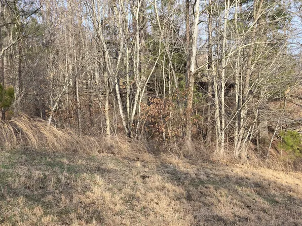 0 Golf Course Rd, Waverly, TN 37185