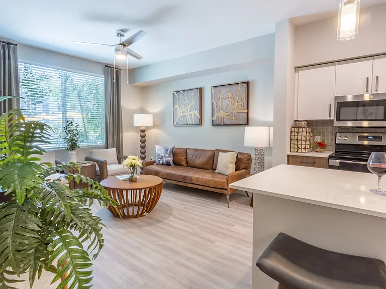 The Amelia Luxury Apartments — Photo 11