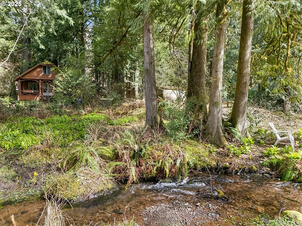 26709 E Henry Creek Rd photo 1