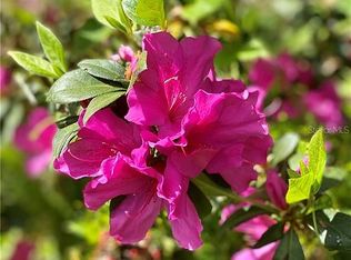 5002 Circled Oak Dr, Sarasota, FL 34233