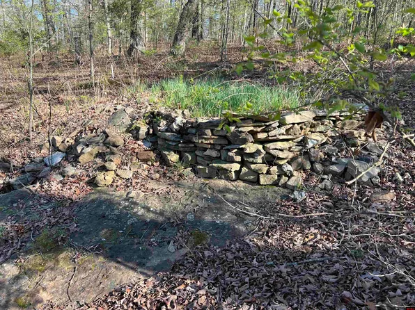 761 Mc Rd #8054, Yellville, AR 72687