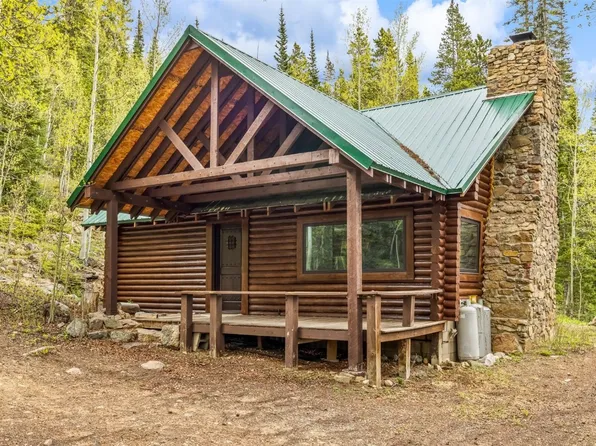 4391 Herman Gulch Rd, Silver Plume, CO 80476