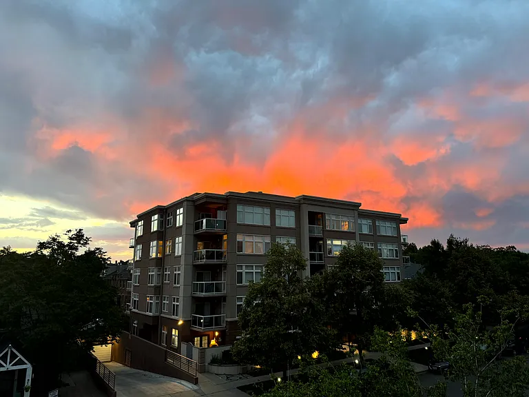 350 Detroit St #303 — Photo 27