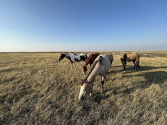 4th image of 0 Bucking Horse Blvd Parcel 110