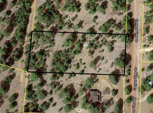 2788 Canyon View Dr LOT 529, Happy Jack, AZ 86024