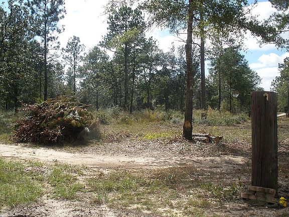 4th image of 5440 Mare Creek Dr