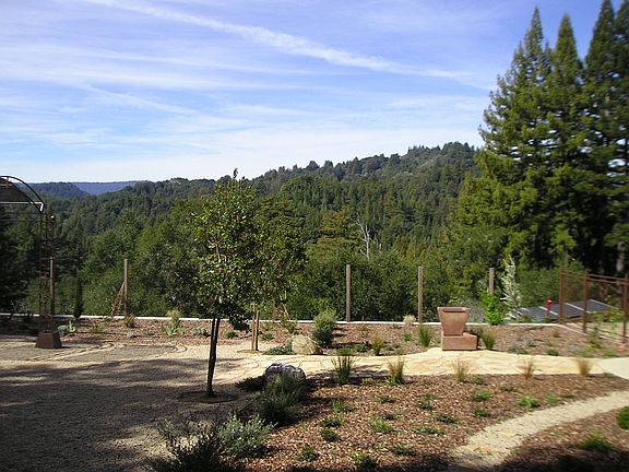 Zayante Canyon Views!