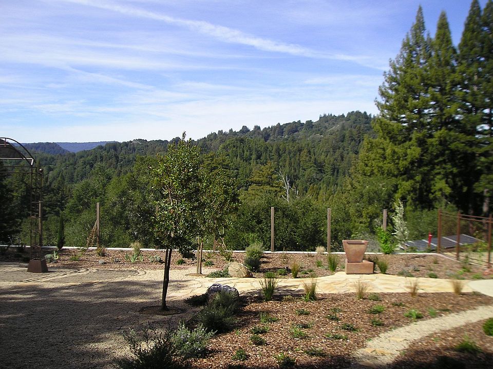 Zayante Canyon Views!