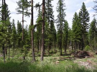 TRACT 1 S Placid Lake Rd, Seeley Lake, MT 59868