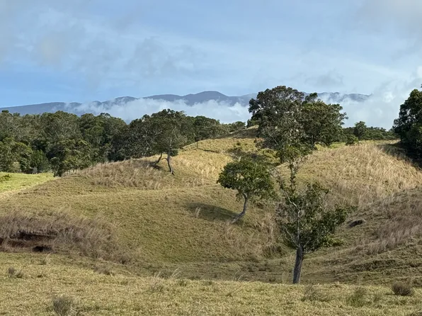 44-2135 Pohakealani Rd Lot 82, Honokaa, HI 96727