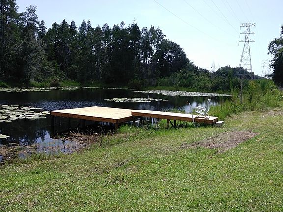 There are fish in the pond!