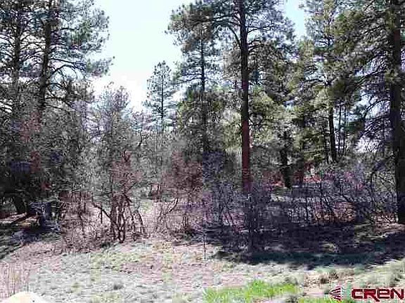 3rd image of 163 Needle Creek Trl