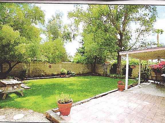Back Yard Patio/trees