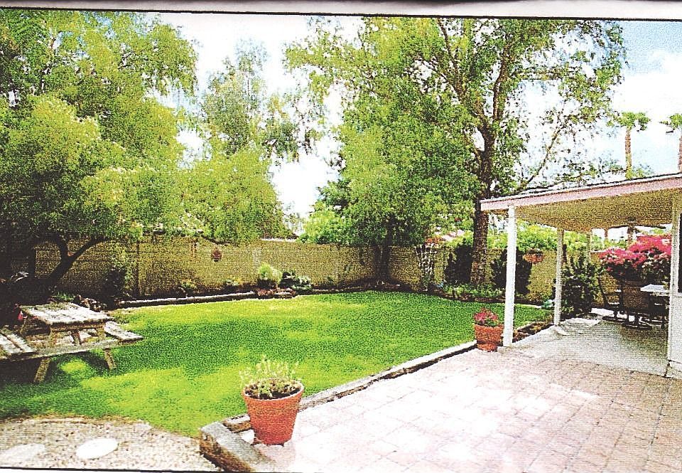 Back Yard Patio/trees
