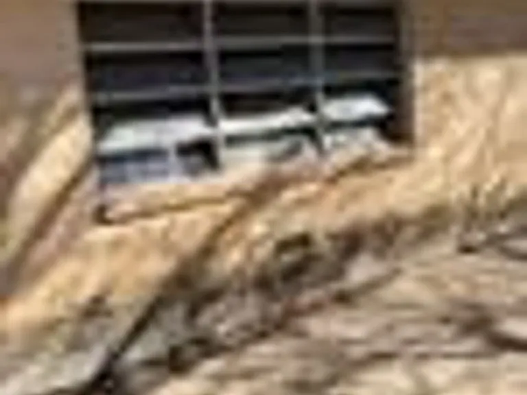 2408 Lake Air Dr — Photo 17