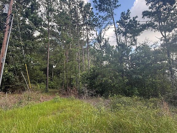 3rd image of 3555 Hickock Ln