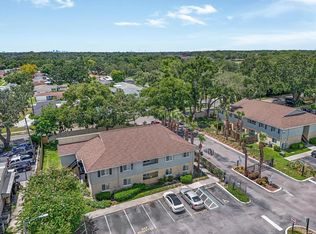 638 Golden Raintree Pl, Brandon, FL 33510