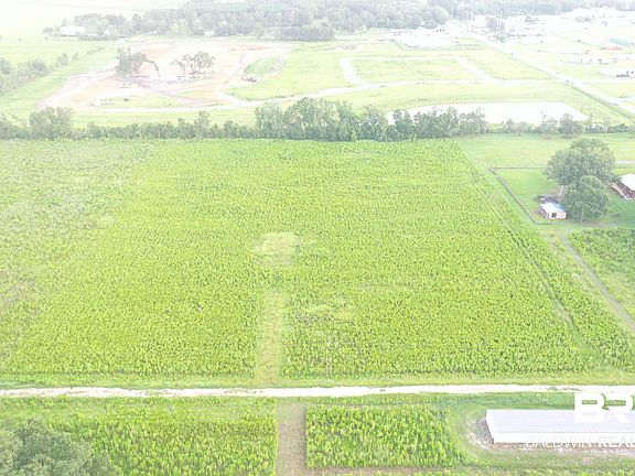 2nd image of 17857 Back 40 Ln