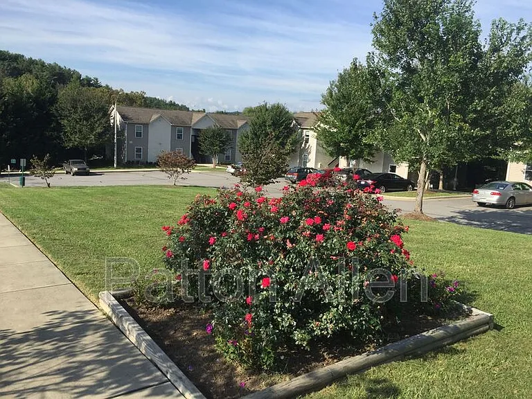 25 Maybelle Ln #MAYBELLE L — Photo 25