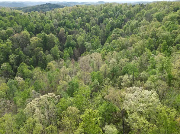 0 Sugarcamp Rd, Big Bend, WV 26136