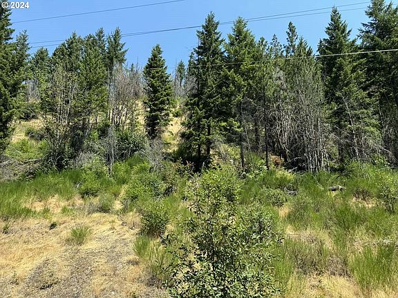 4th image of N Santiam Highway Se Tl #22-1600