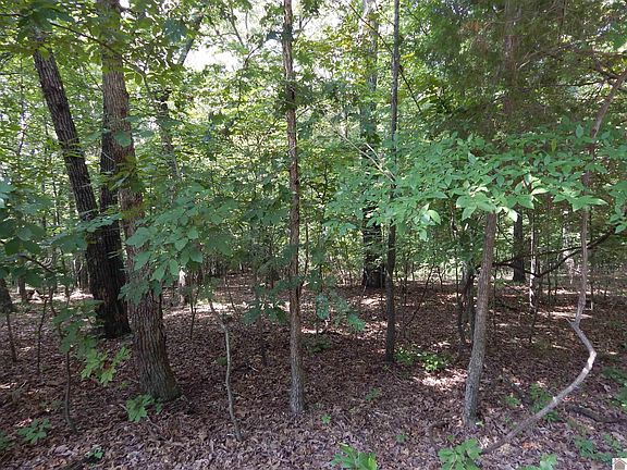 2nd image of LOT 30 Imogene Dr