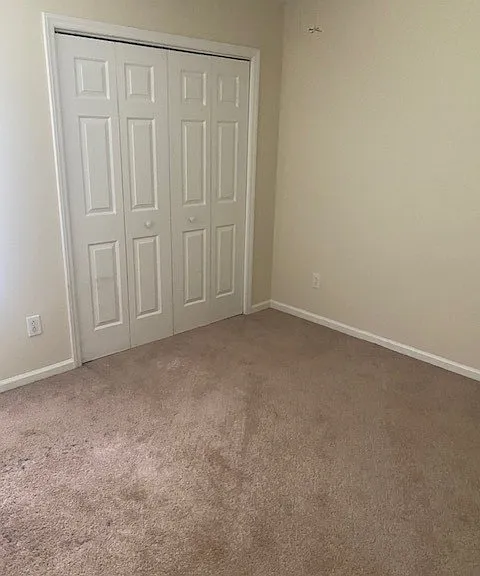 3512 Sassafrass Trl — Photo 15