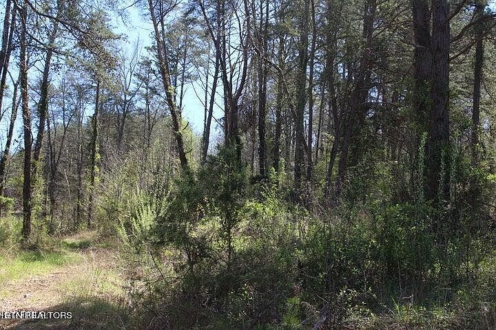 2nd image of Topside Rd