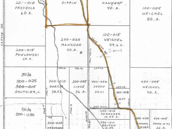 N Sand Hill Rd, Black River, MI 48721