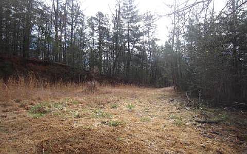 2nd image of 353 Hummingbird Dr