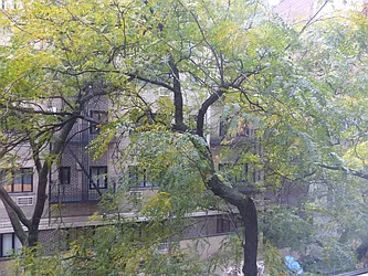 Rented by Immac Realty