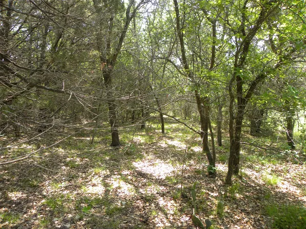 1303 Ash Ct, Whitney, TX 76692