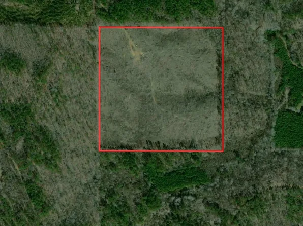 Oswalt Rd, Sturgis, MS 39769