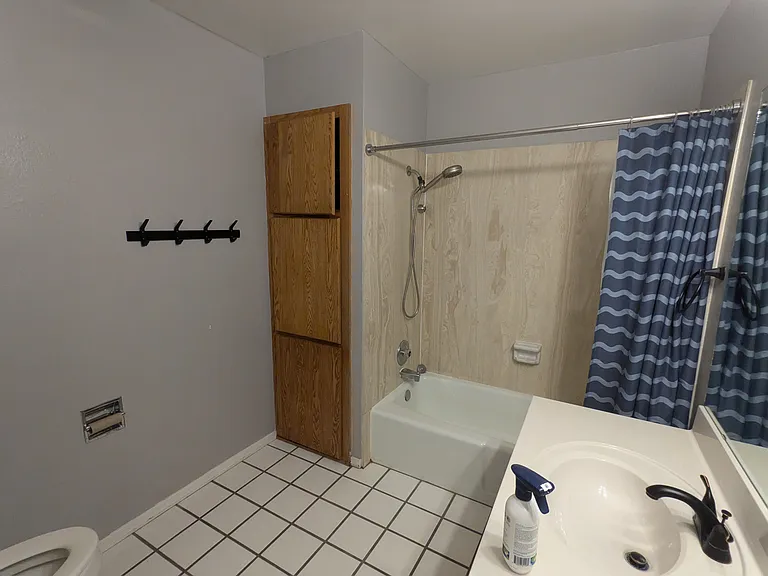 Bathroom 2 (near bedrooms, with full bath)