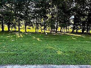 4th image of 1289 Black Cove Ln Lot 15