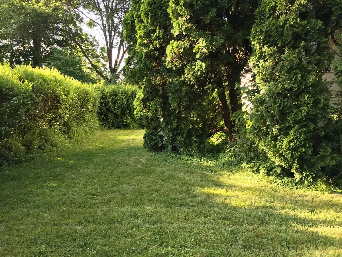 Side yard - 1812 Fair St