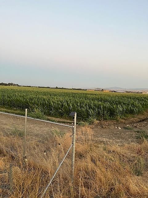 2nd image of 19366 S Lammers Rd