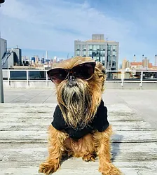 Rented by REAL New York