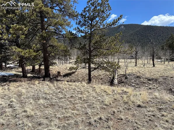 617 Gunnison St, Lake George, CO 80827