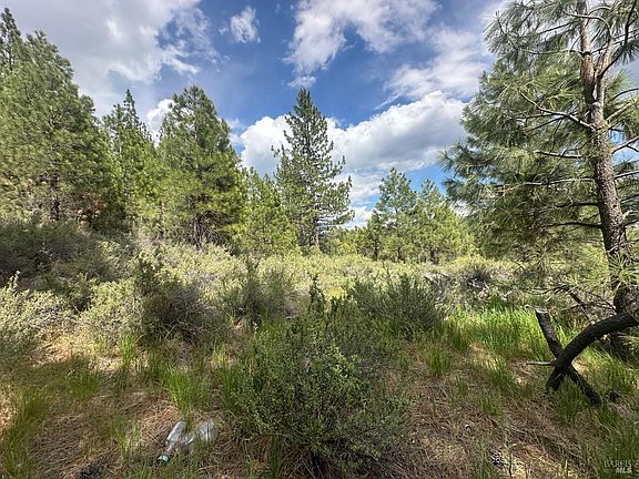 3rd image of 266 Delleker Park Drive