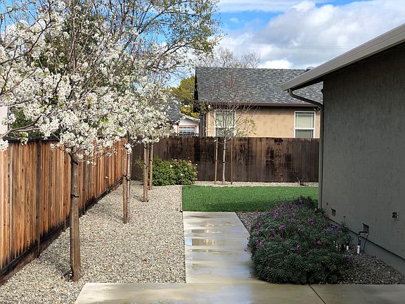 Side Back Yard w/ Patio
