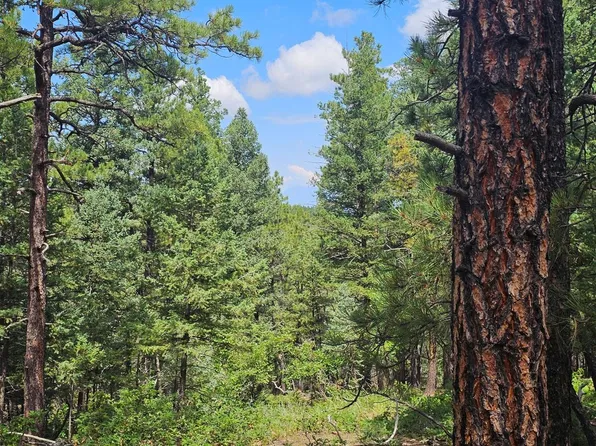 32 Puma Ct #H12, Trinidad, CO 81082