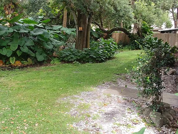 Shaded back yard common area