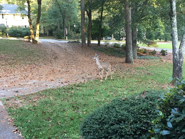 From front door